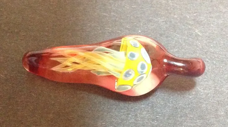 Red Sea Jellyfish, original archive photograph of handmade glasswork by Ann Wierbinski