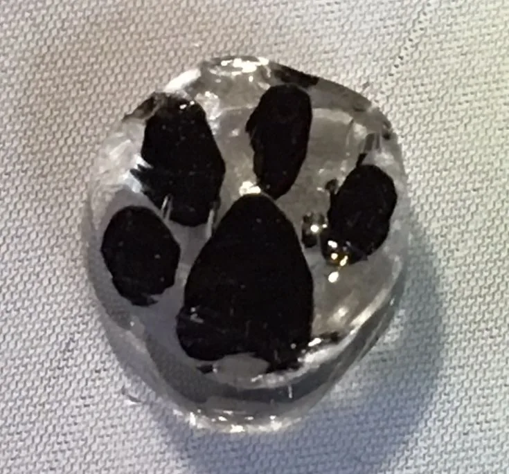 Black Paw Print, original archive photograph of handmade glasswork by Ann Wierbinski