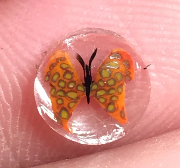 Orange Butterfly, original archive photograph of handmade glasswork by Ann Wierbinski