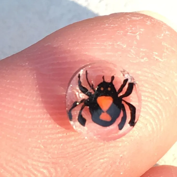 Black Widow Spider, original archive photograph of handmade glasswork by Ann Wierbinski