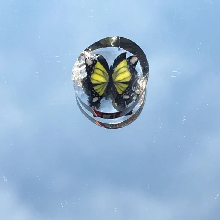 Yellow Butterfly, original archive photograph of handmade glasswork by Ann Wierbinski