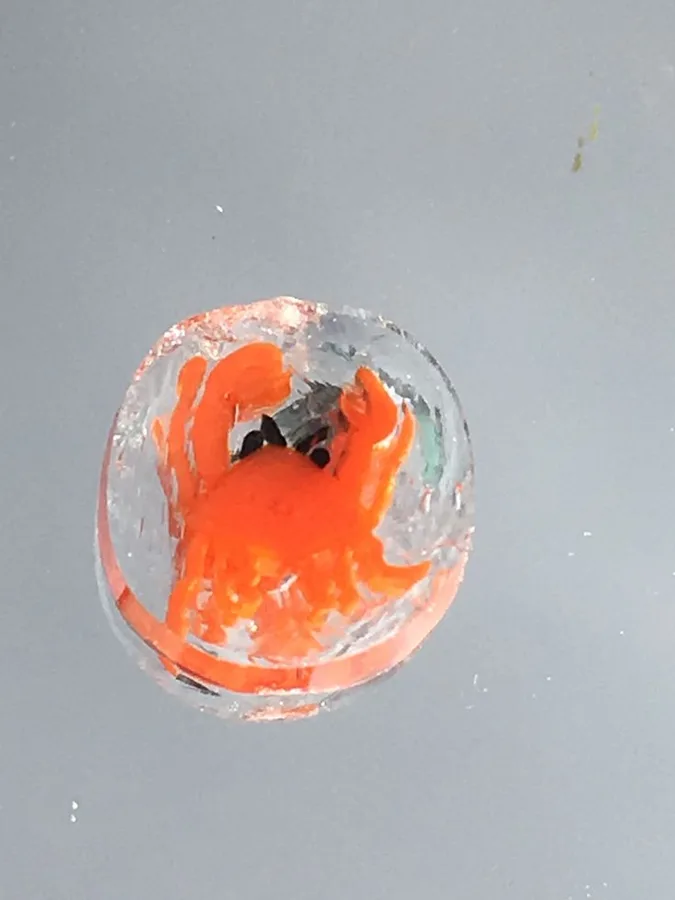 Orange Crab, original archive photograph of handmade glasswork by Ann Wierbinski
