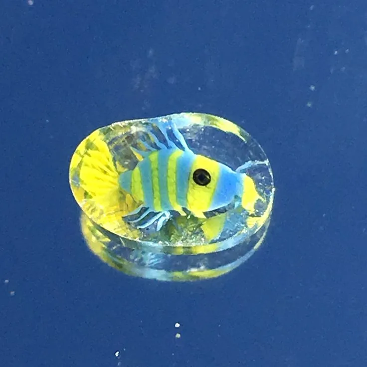 Blue-and-Yellow Fish, original archive photograph of handmade glasswork by Ann Wierbinski