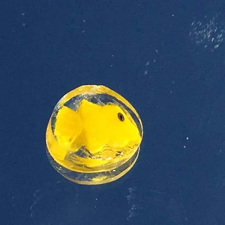 Yellow Tropical Fish, original archive photograph of handmade glasswork by Ann Wierbinski
