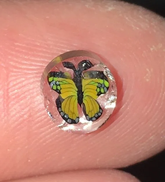 Yellow Monarch Butterfly, original archive photograph of handmade glasswork by Ann Wierbinski