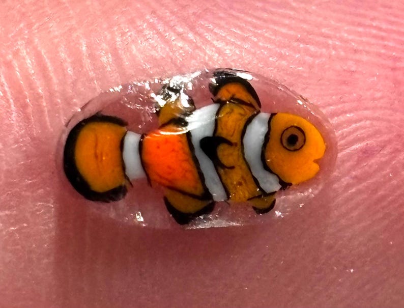 A group of orange clownfish murrini chips on a blue surface